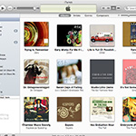A well-organized iTunes Library