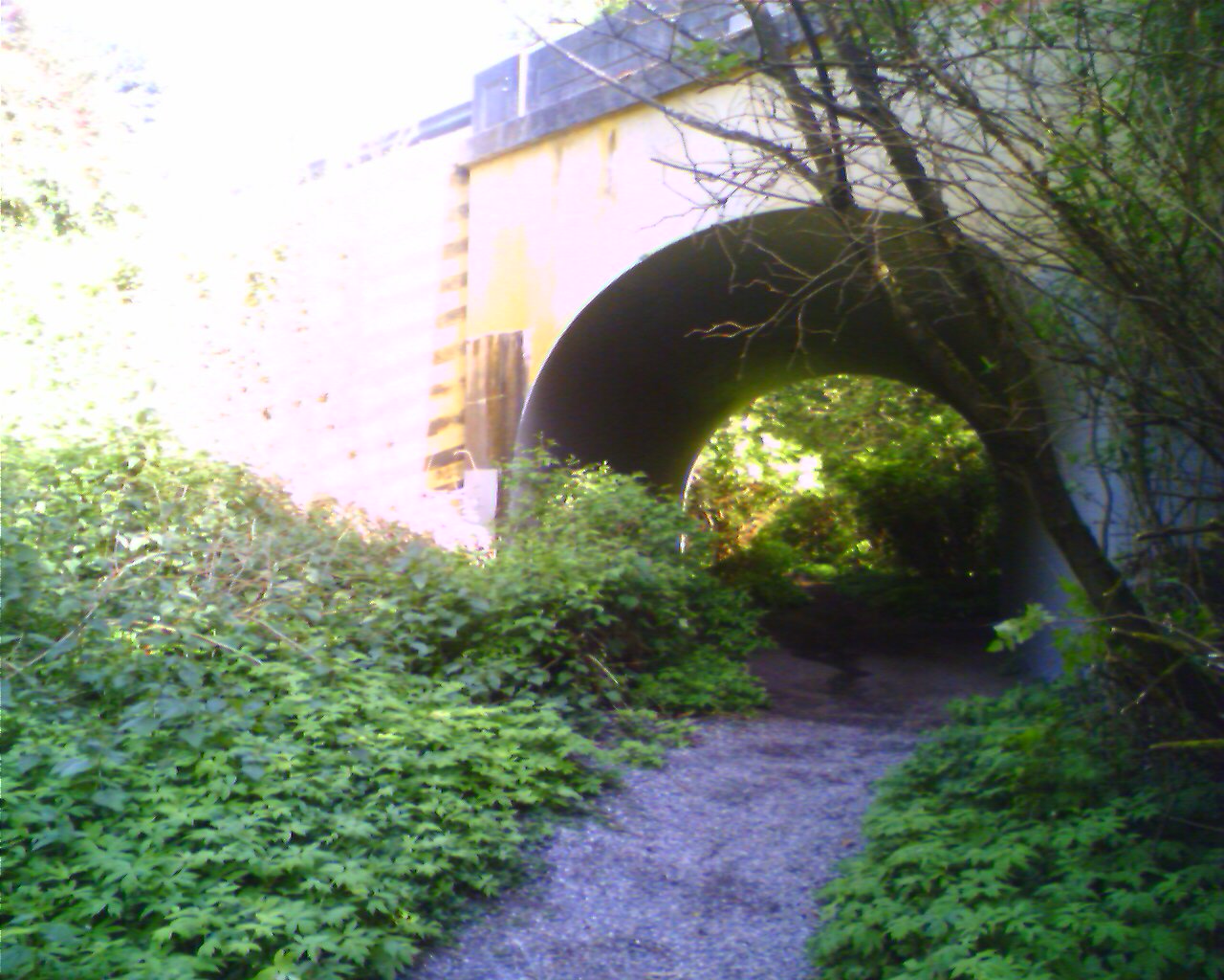 Tunnel at carkeek park