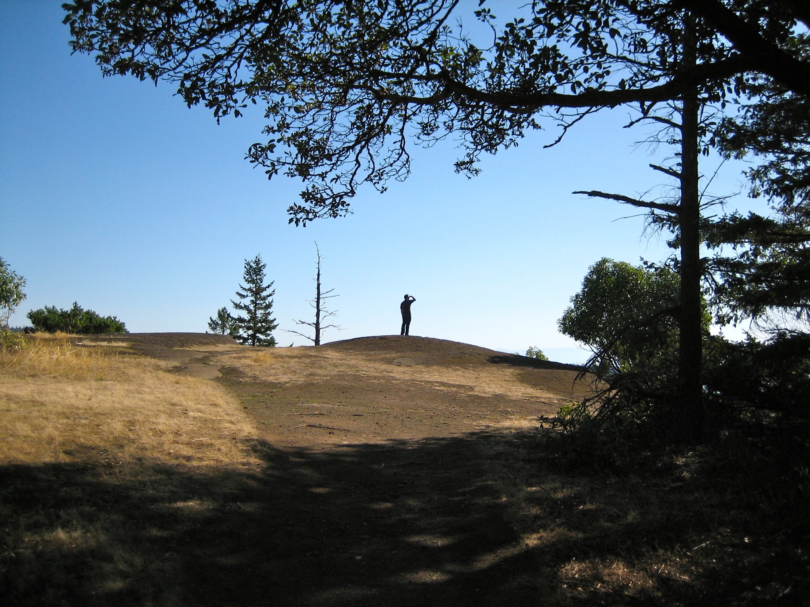 Hill on San Juan Island