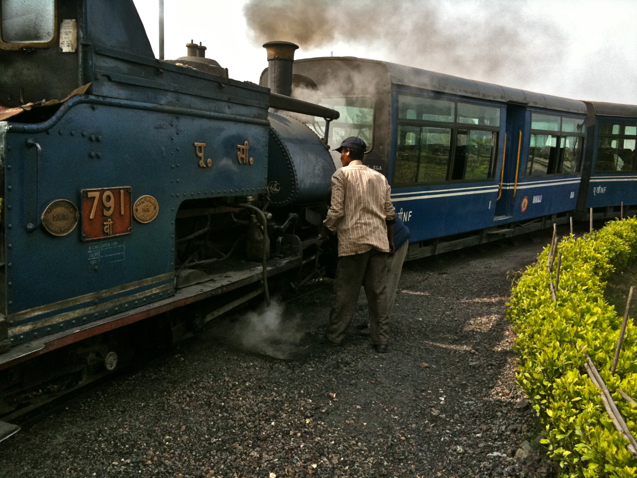 "Darjeeling Express" aka Toy Train