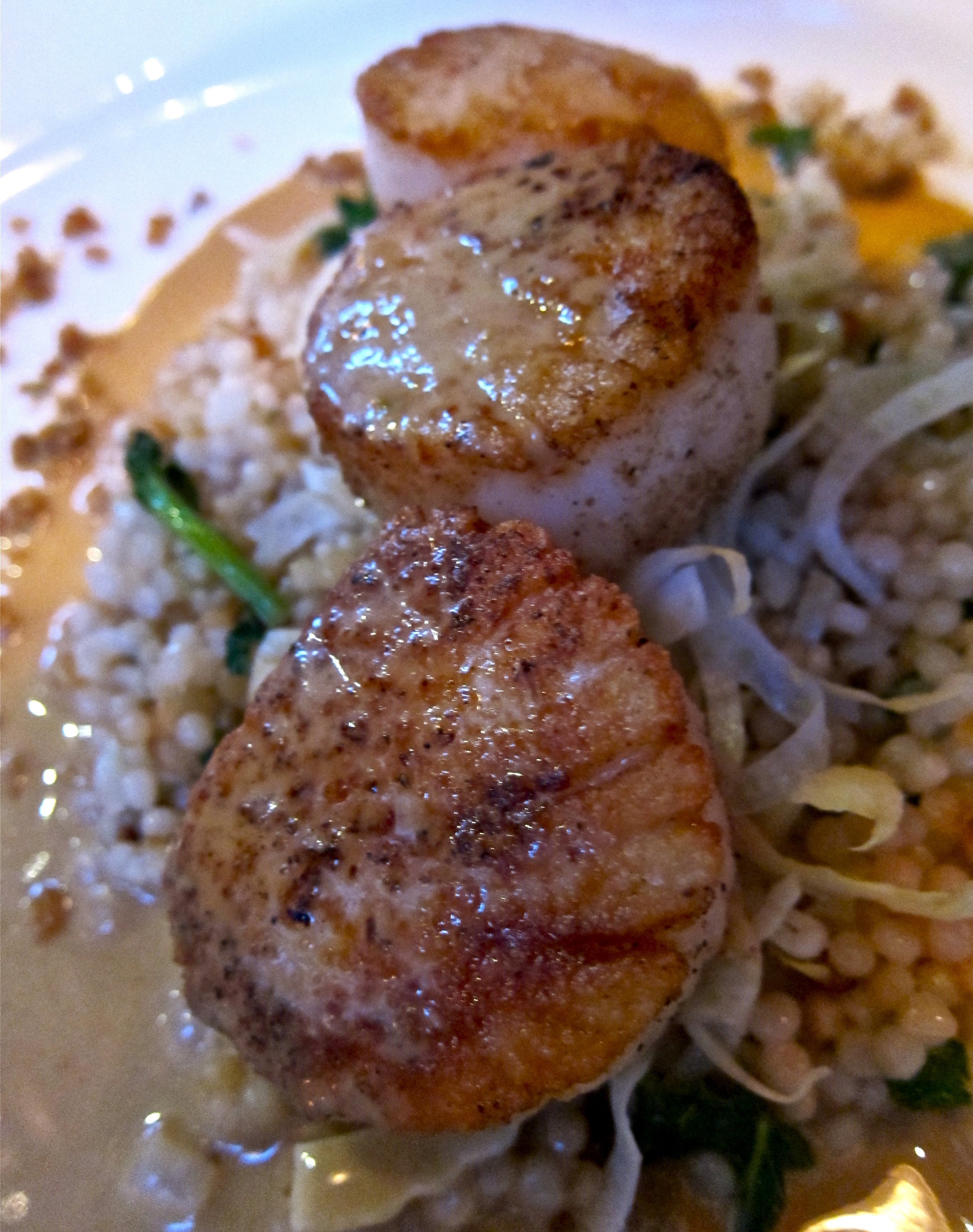 Scallops with dollops of flavor on top
