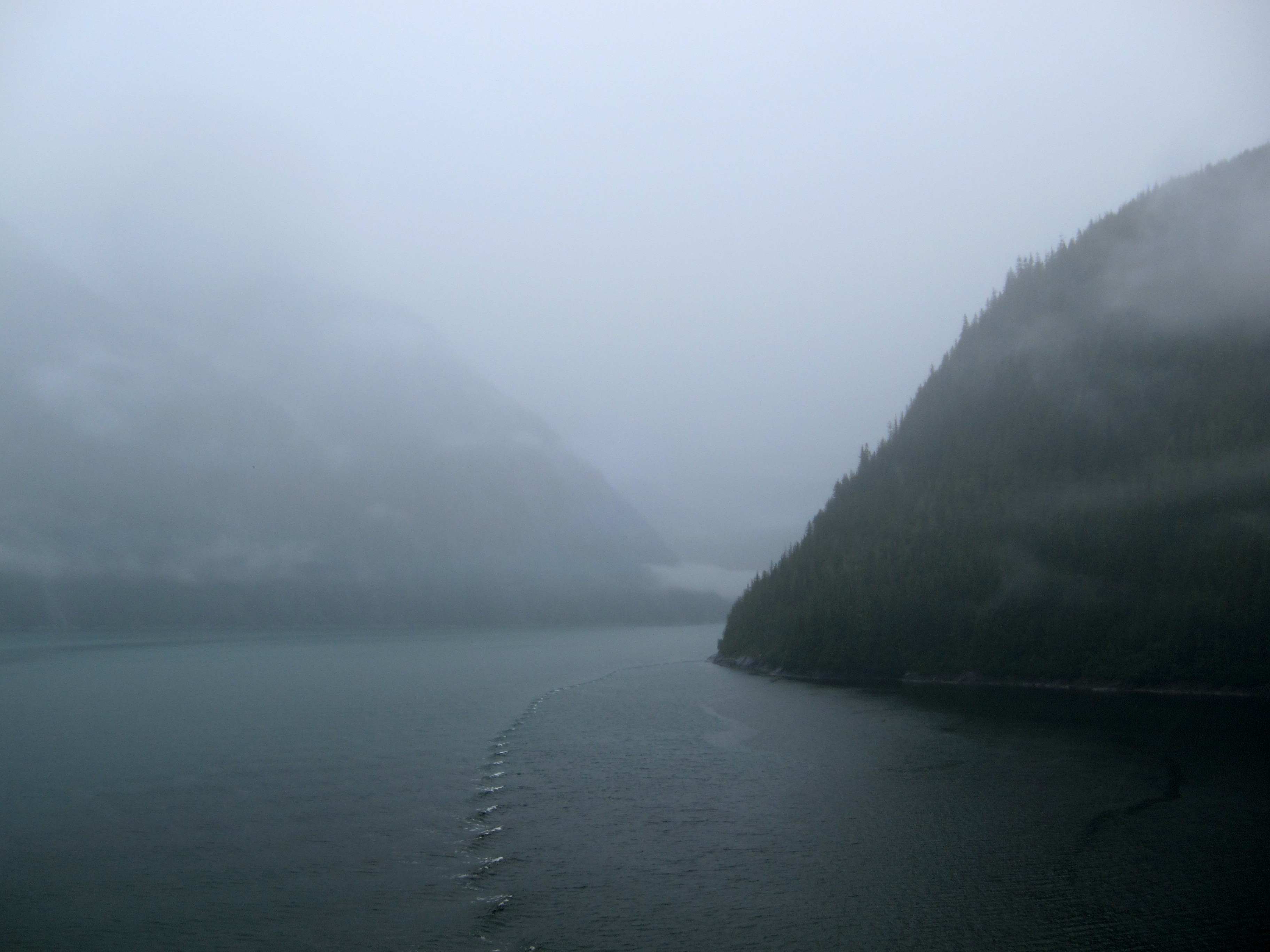 Morning fog, Tracy's Arm Fjord