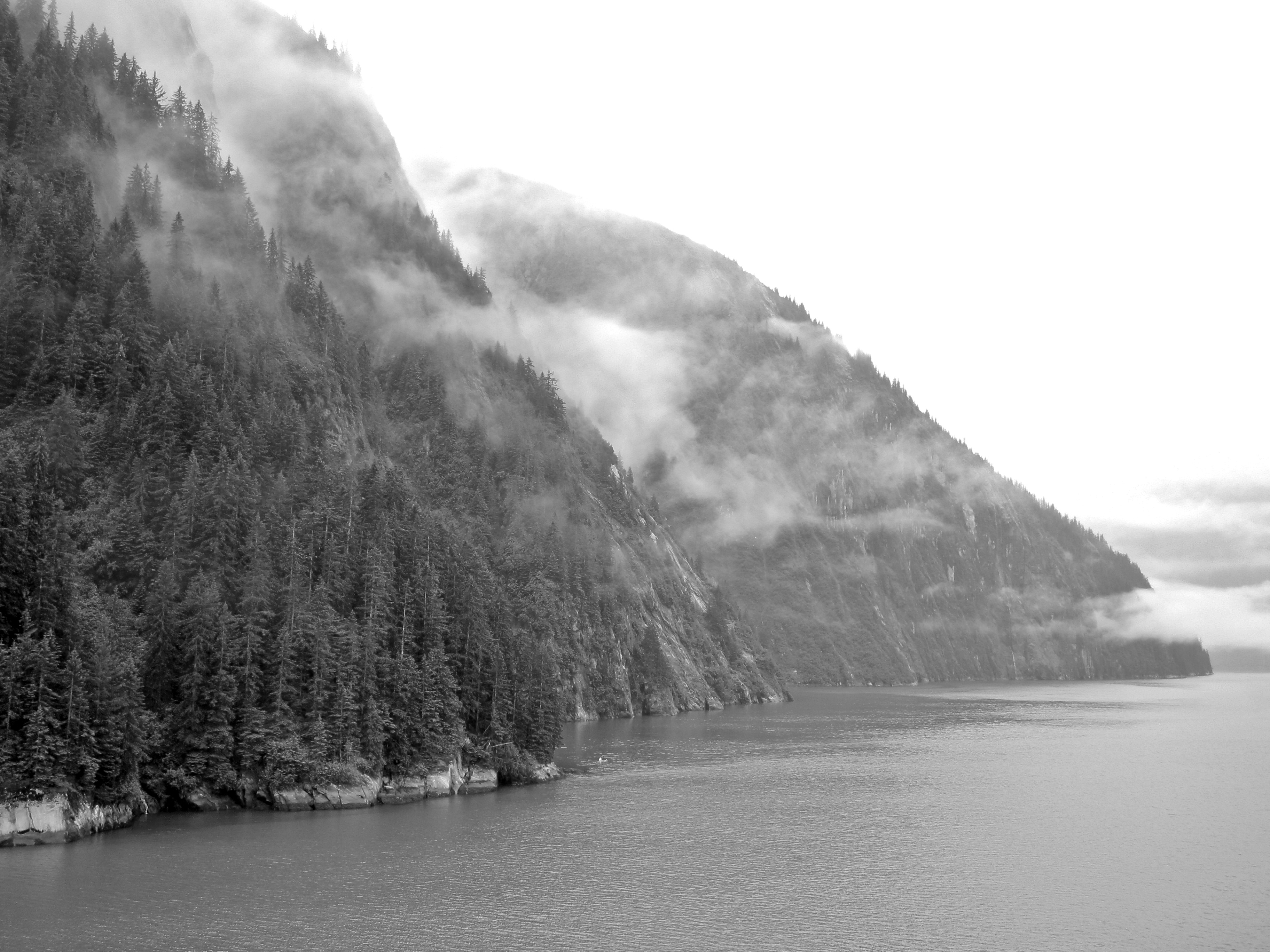 Tracy's Arm Fjord, early morning