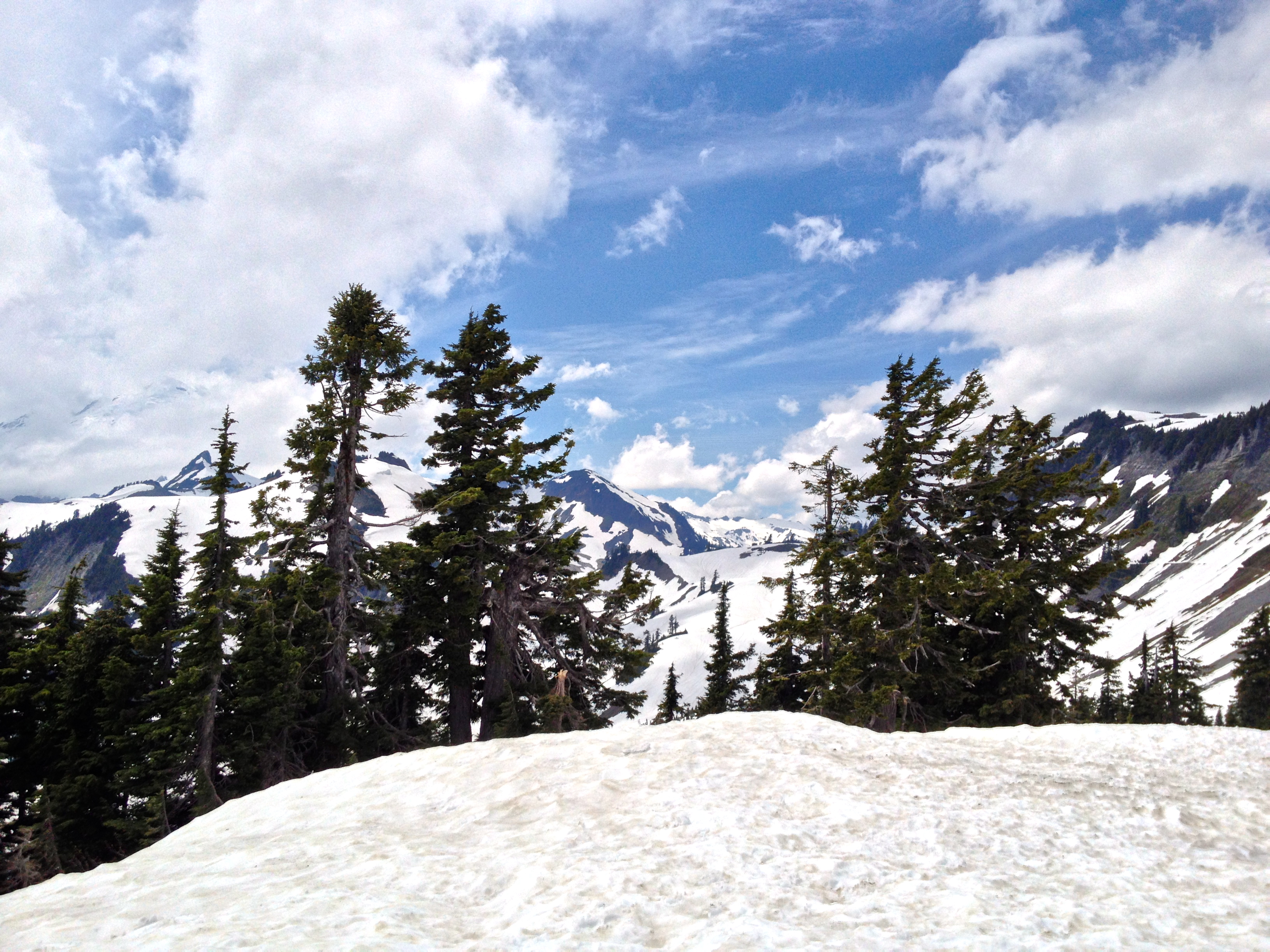 View From Snowy Ridge