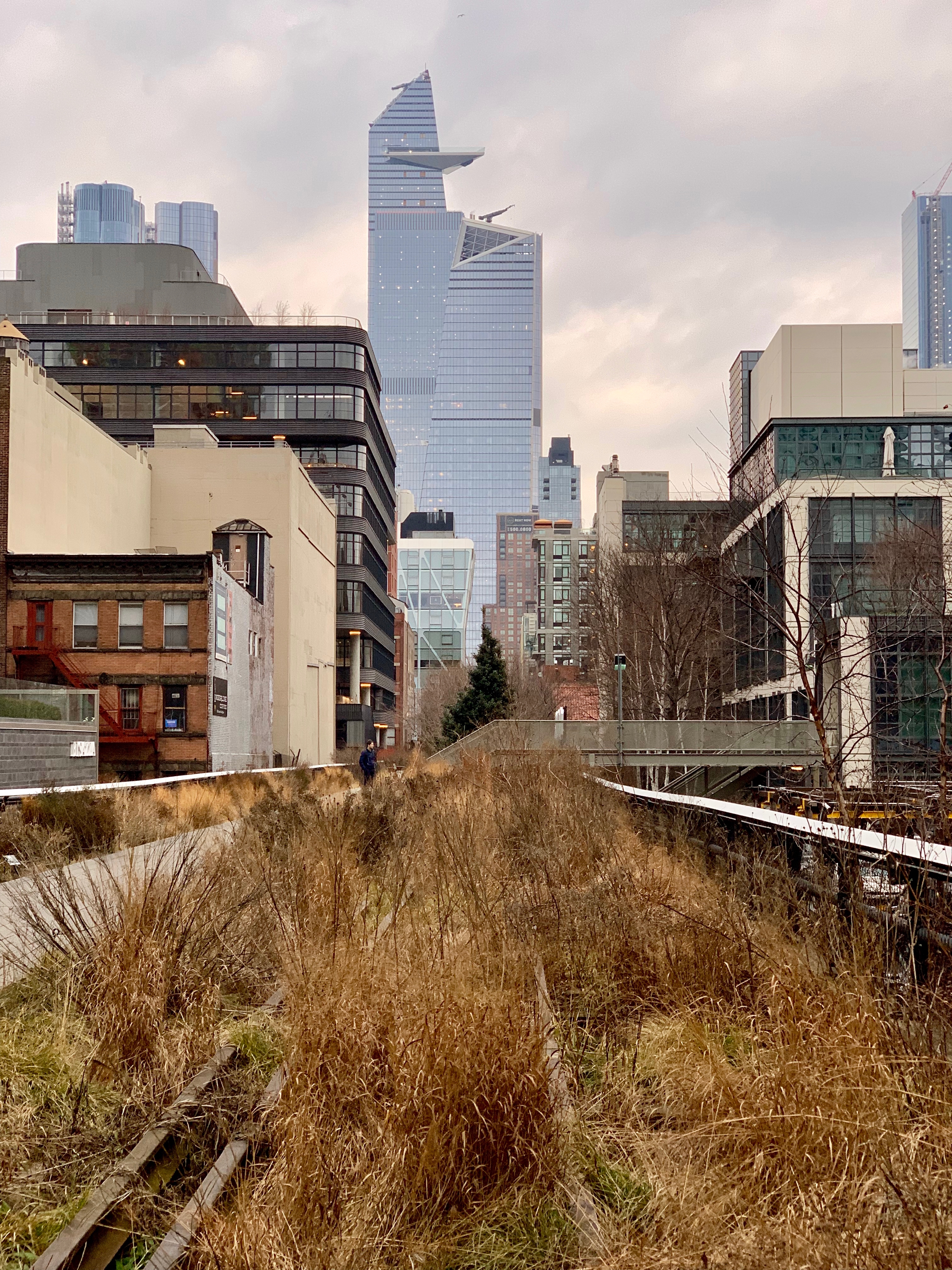 Drought tolerant native plant species populate the High Line. <a href="https://www.denari.co/hl23">HL23</a>, a building I've always admired, leans above the park in the distance.