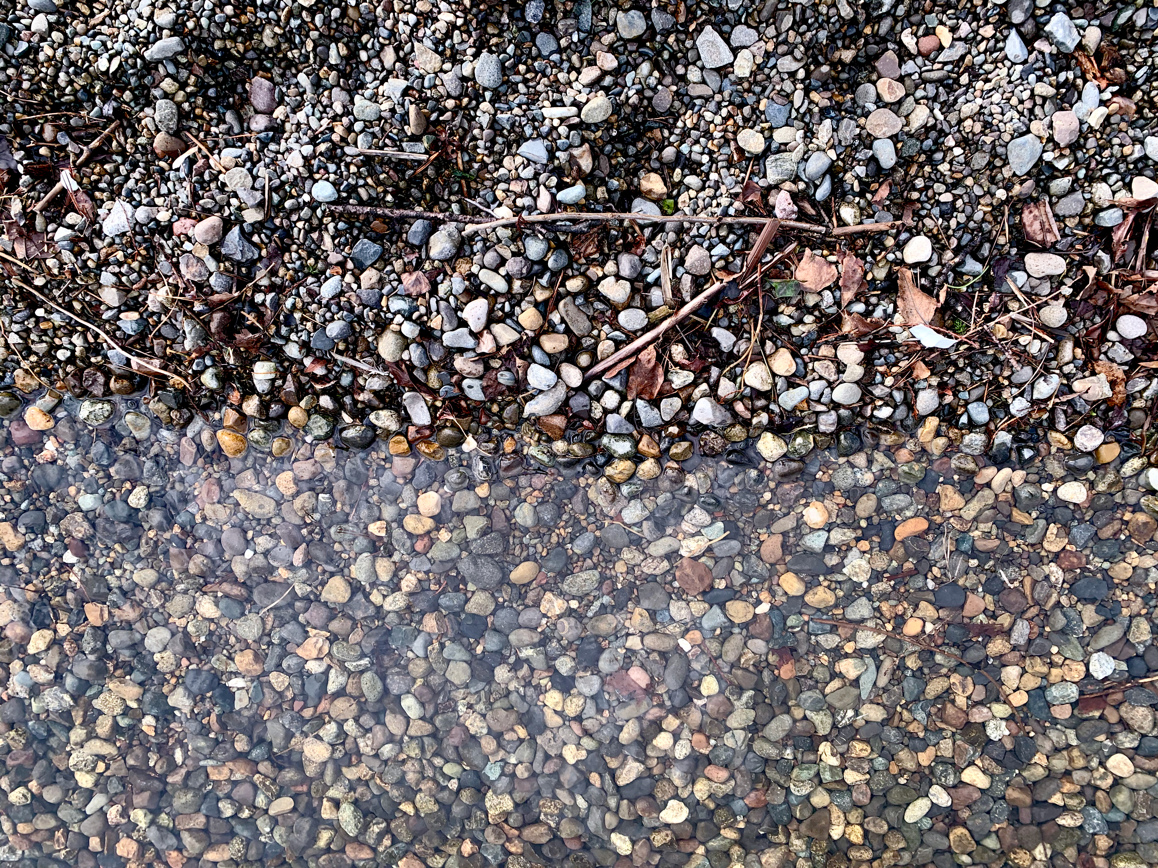 Day 9. <i>Lull</i>. Calm on the rocky shore of Lake Washington.
