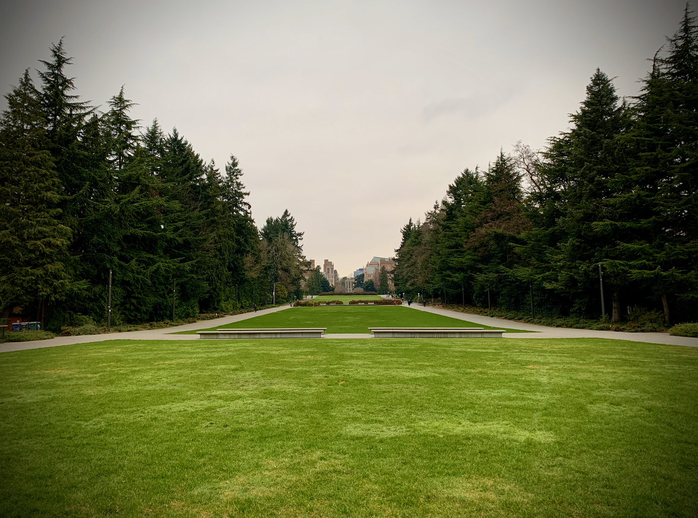 Day 11. <i>Plain</i>. View from my commute on this flat, gray Seattle morning.