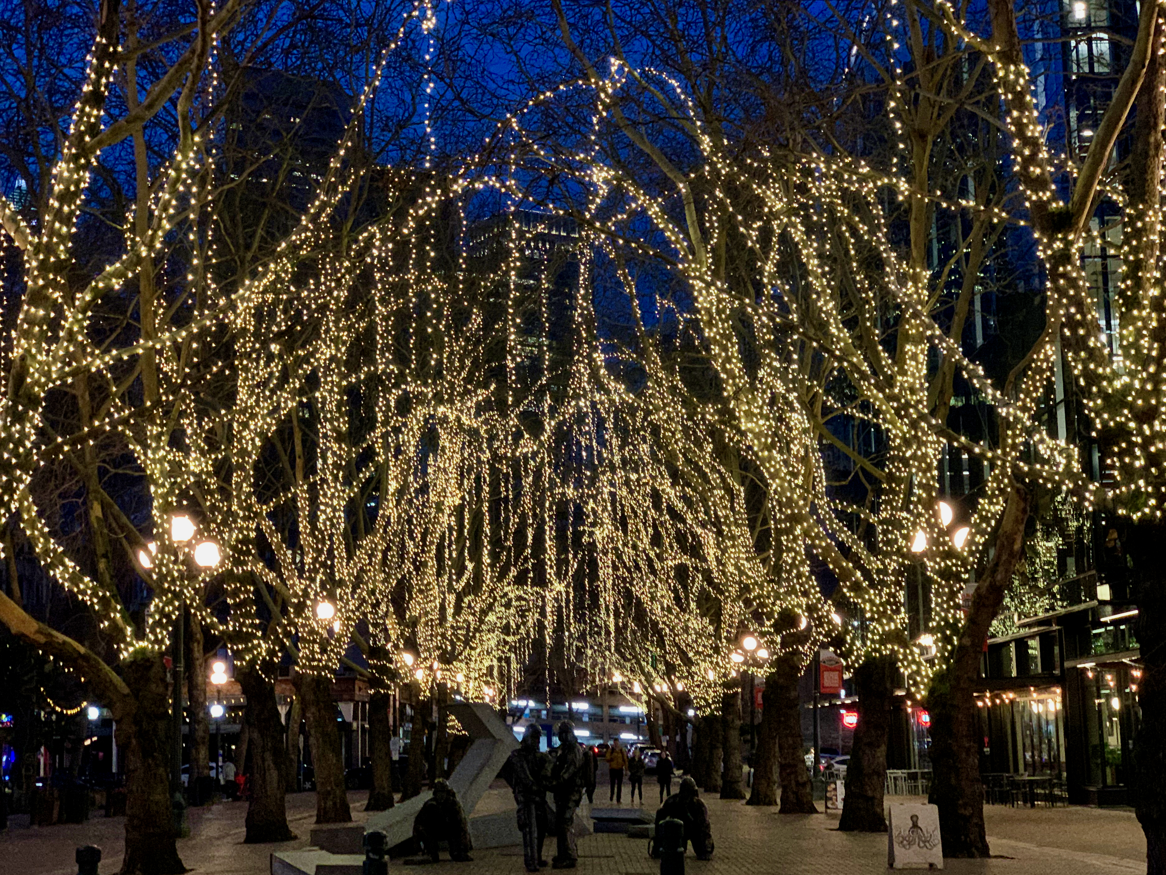 Day 27. <i>Together</i>. Community under lights in Pioneer Square.